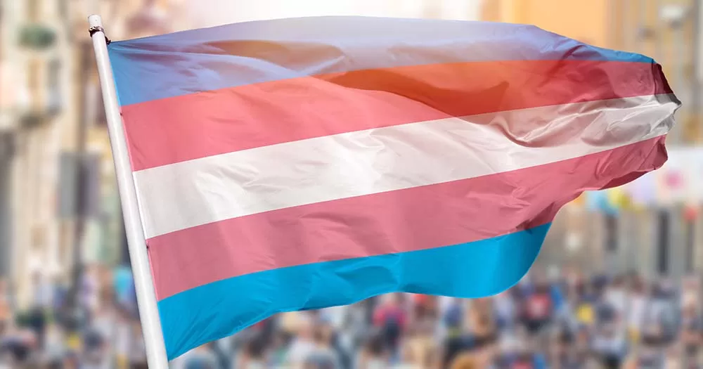 Trans flag outstretched above crowd of people representing top surgery study