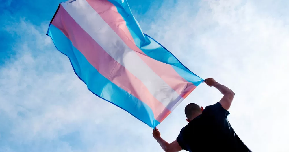 The image shows a male presenting person holding a trans flag over their head in a show of trans power. The image is shot from the ground looking up towards the sky. A pink, white and blue flag flies in the hands of a person with their arms raised over the head. The person is standing with their back to the camera.