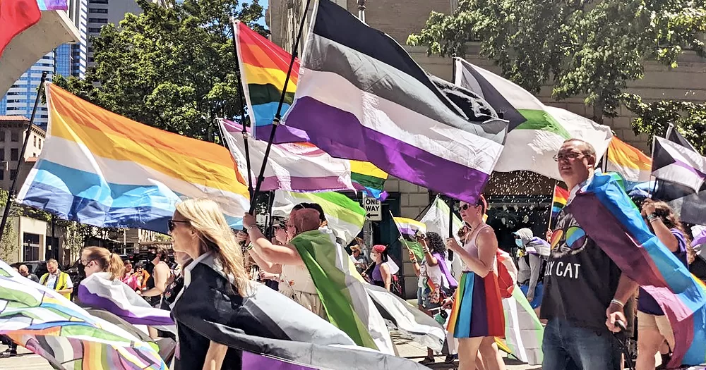 This article is about the asexual and aromantic community. In the photo, people marching and wavin aromantic and asexual flags.