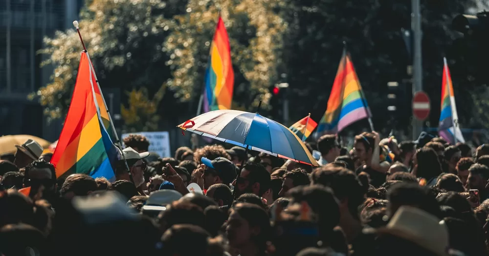 This article is about the meaning of community. In the photo, people at a Pride parade with Pride flags.