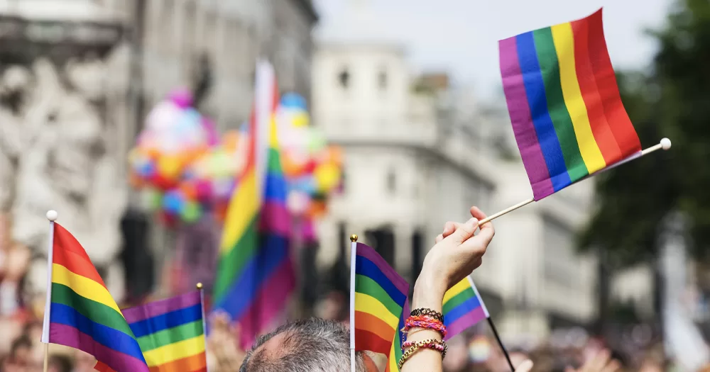 This article is about the 2023 LGBTQ+ Community Services Funding. In the photo, people holding up little Pride flags.