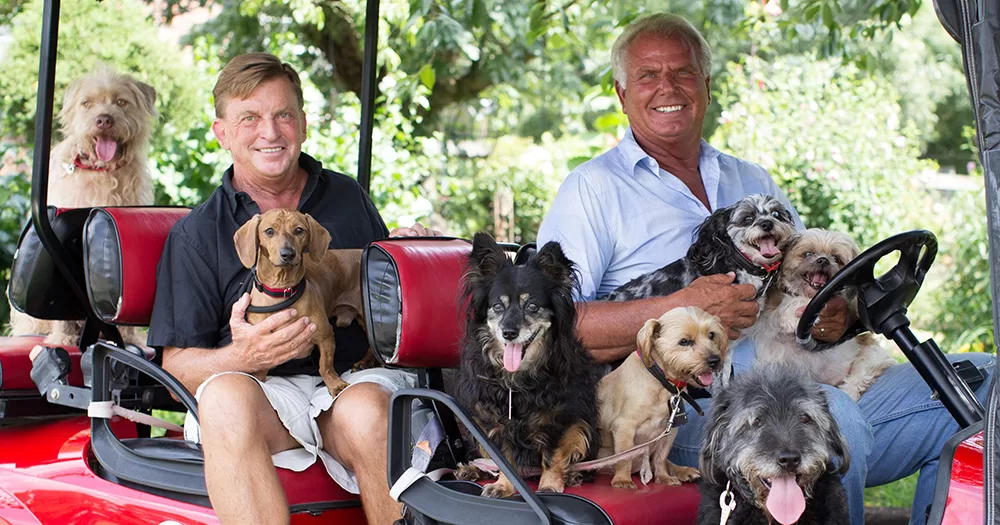 This image shows gay couple, Ron Danta and Danny Robertshaw, who are smiling, sitting in a golf cart and surrounded by small dogs they have rescued.