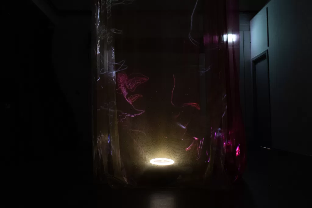 Image of Nikolas Ryan's installation for the RDS Visual Art Awards and Exhibition.