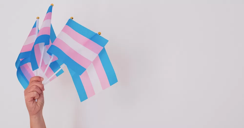 This article is about Trans Awareness Week. In the photo, a hand holding several small trans flags.