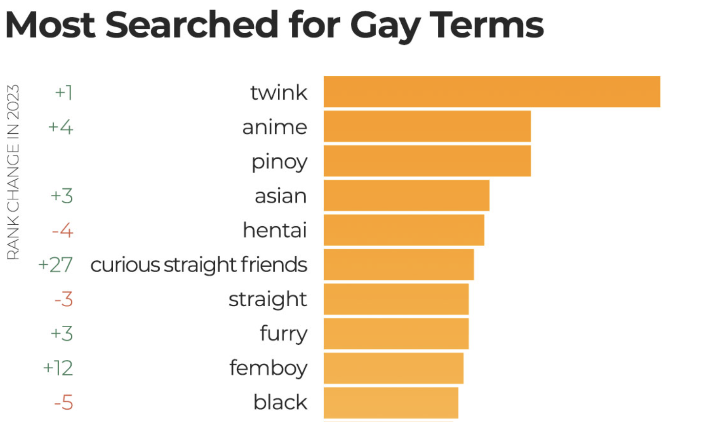 Top Searched Gay Terms on PornHub in 2023