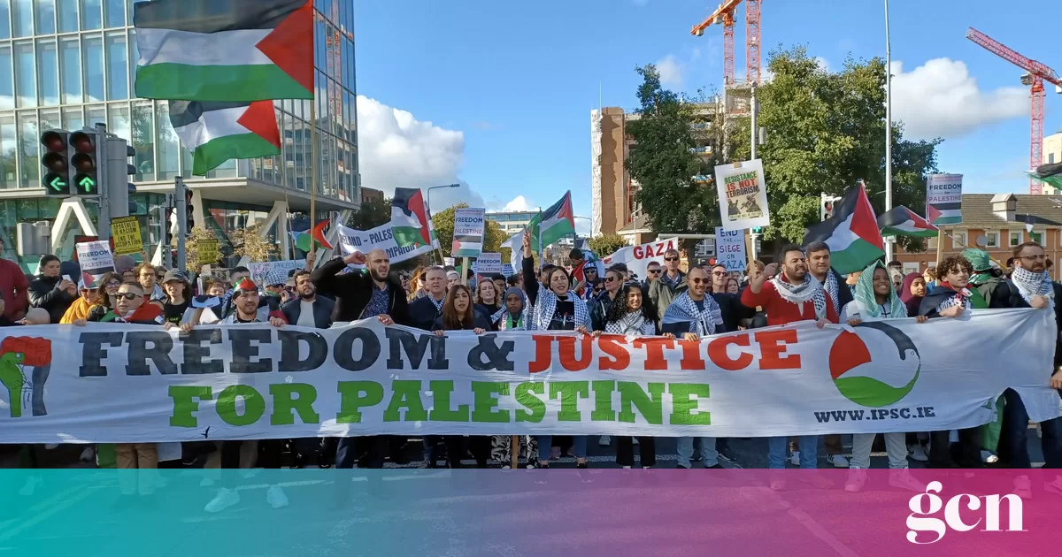 Over 80 Irish community groups endorse National Demonstration for