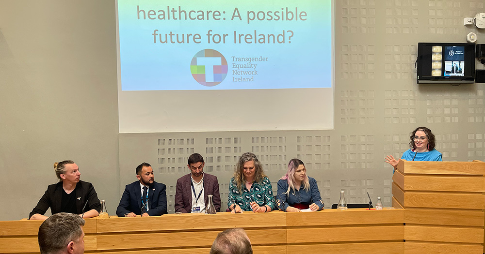 A panel including Senator Annie Hoey and representative from TENI, Idigo and Trans United Clinic, are at the top of a room preparing to present examples of best practice trans healthcare. Five of the panelists sit at a wooden table as the Senator speaks at a podium on the right hand side of the screen. Behind them is a powerpoint presentation.