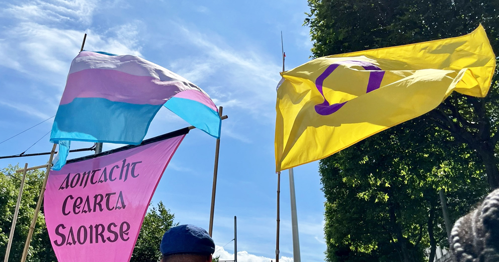 This article is about intersex rights in Ireland following the UN declaration. In the photo, an intersex flag and a trans flag flying in Dublin.