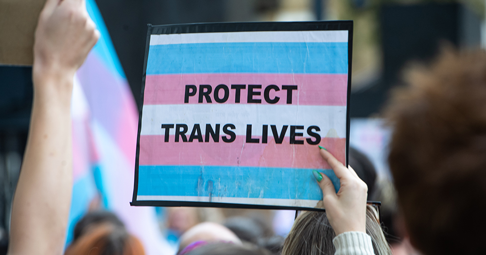 This article is about a ban on puberty blockers extended to Northern Ireland. In the photo, the hand of a person holding a blue, white and pink sign that reads 'Protect trans lives' while marching at a protest.