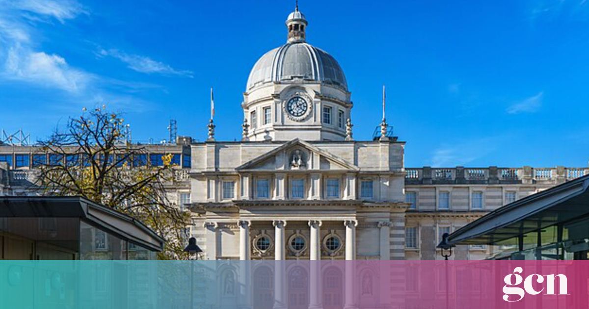 Irish civil society organisations urge next government to protect ...