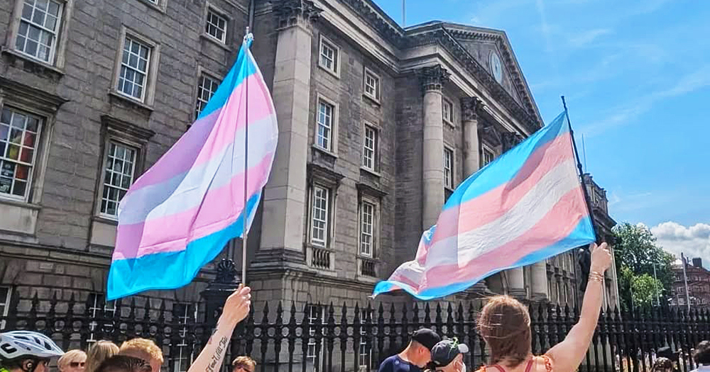 This article is about trans health professionals calling for reforms. In the photo, two trans flags flying in front of Trinity College Dublin.