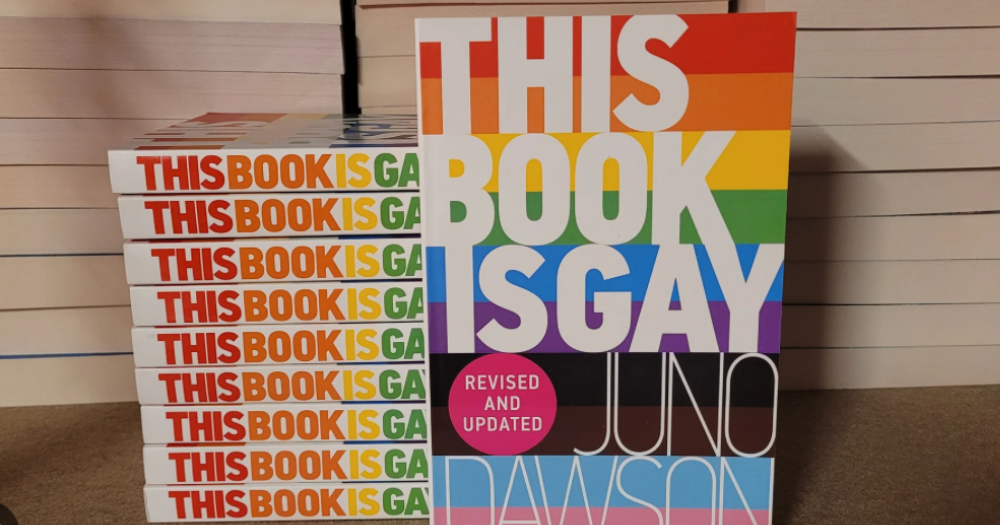 Image shows the book This Book Is Gay, which was on shelves at Cork City Library.