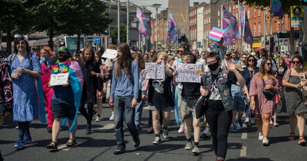 People marching at Trans and Intersex Pride in Dublin, carrying trans flags.