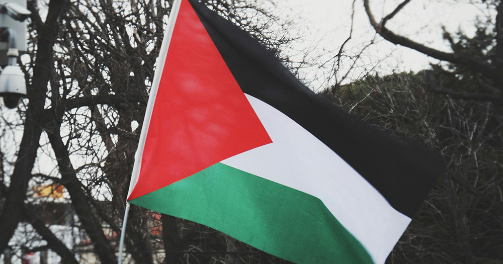 Image of the Palestine flag.