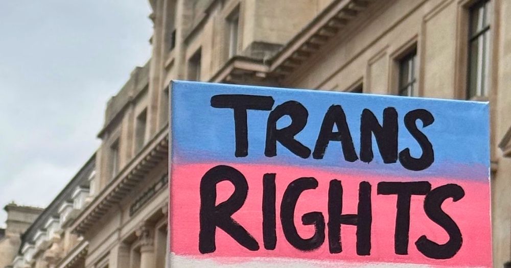 This article is about Trans Pride Limerick. In the photo, a light blue and light pink sign with the message 