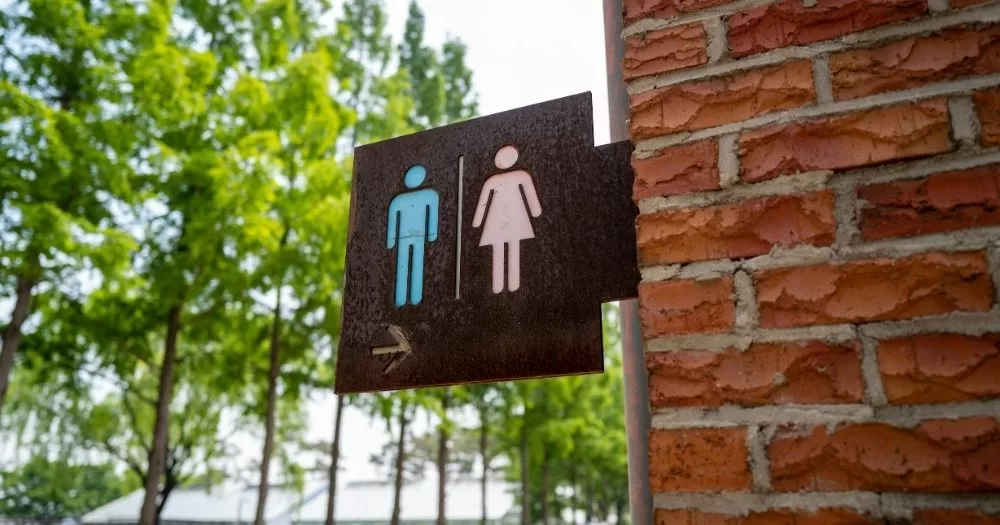 A sign for a public bathroom shows stick figures - one wearing trousers in blue, one wearing a dress in pink.