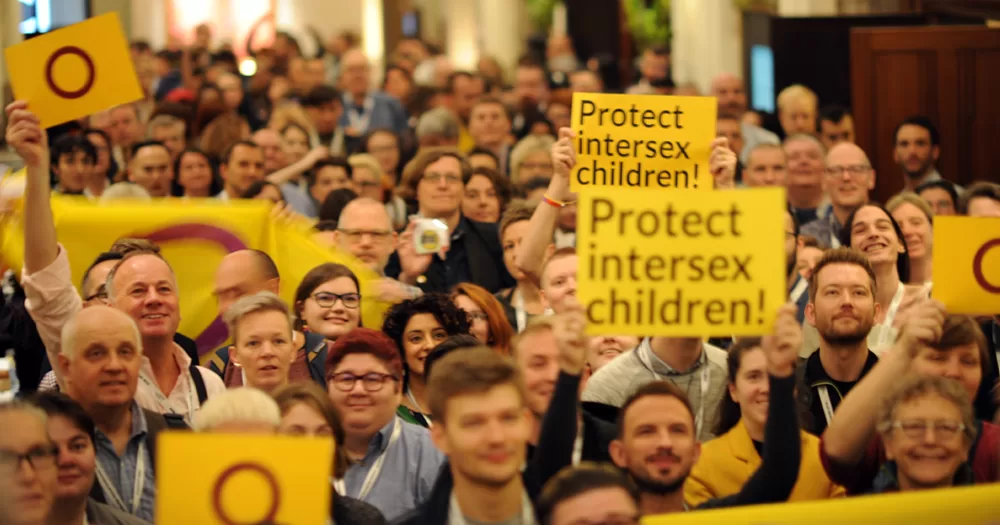 This article is about an intersex rights recommendation adopted by the Council of Europe. In the photo, a crowd of people holding intersex flags and signs that read 