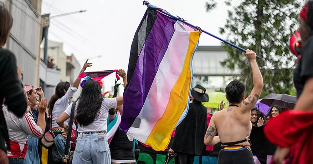 This article is about non-binary gender recognition in Ireland. In the photo, a person holding up a non-binary flag in a crowd of people protesting.