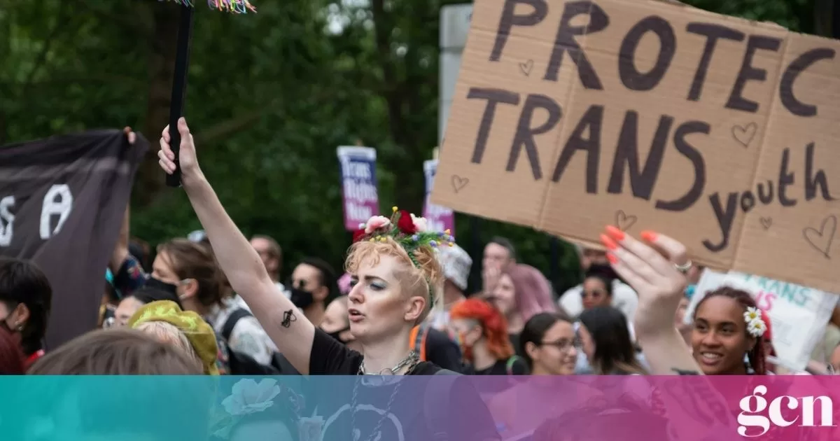 New Zealand bans puberty blockers for trans youth