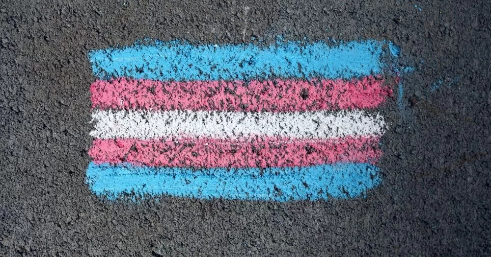 The image shows a dark grey pavement with a trans flag drawn on in chalk. The image is chosen to represent the trans toolkit launched by the nonprofit service Anne.
