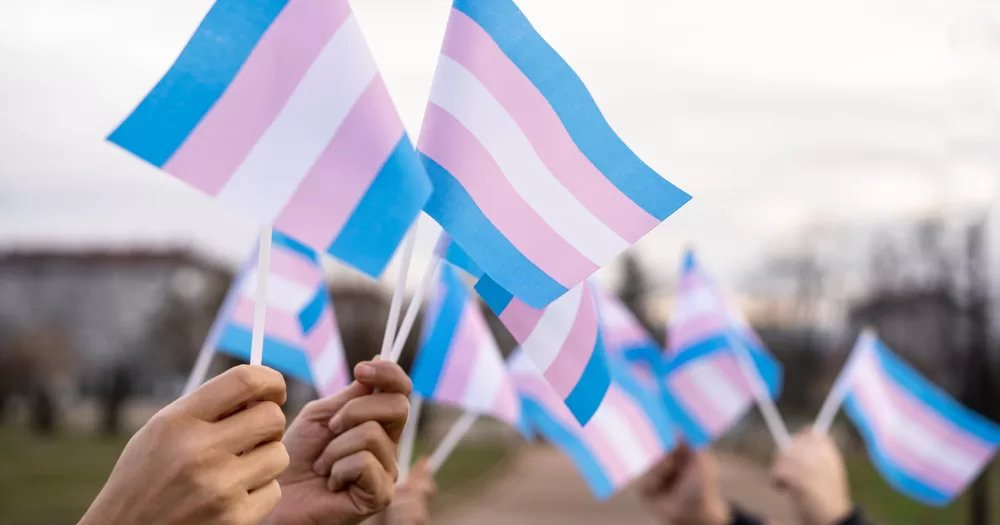 A series of trans flaags being held a coalition has criticised the National Gender Service and their choice to cease their waiting list