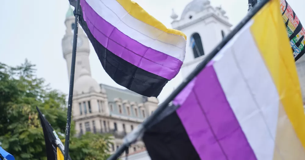 Two non-binary flags. This article covers non-binary experinces in the workplace