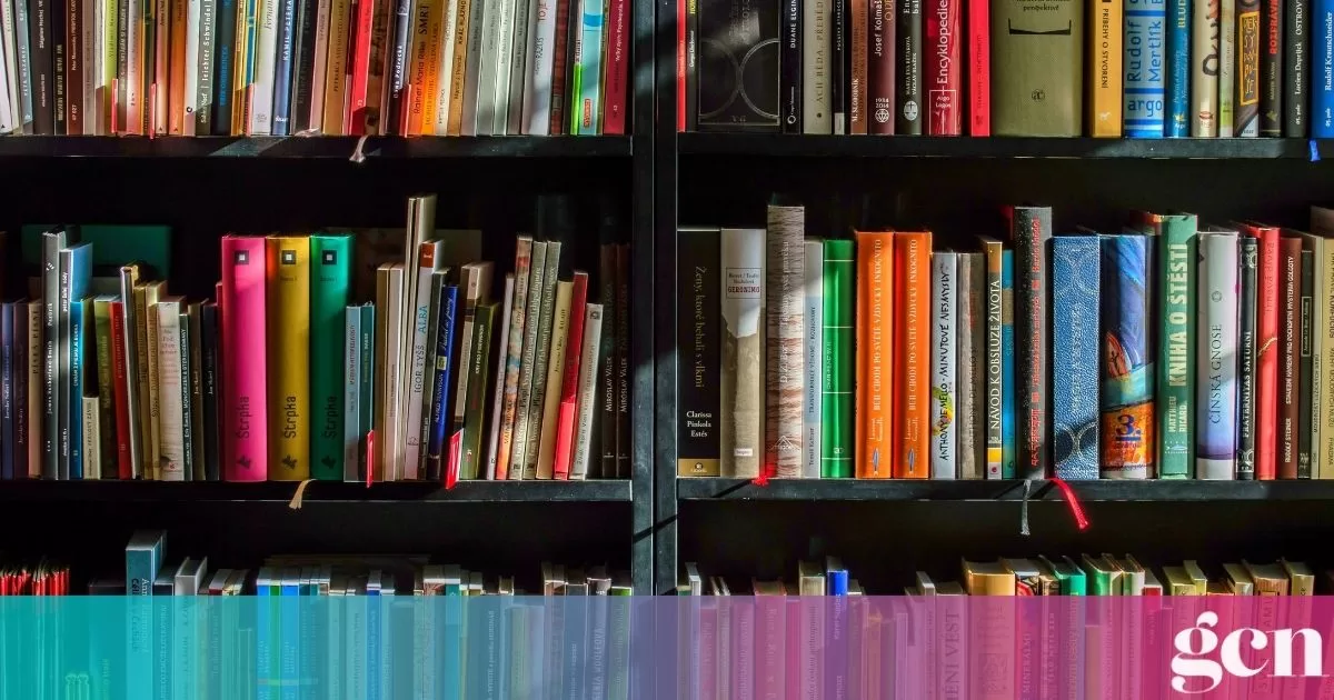 Publishers are rejecting queer books amid bans and Trump's anti-LGBTQ+ stance