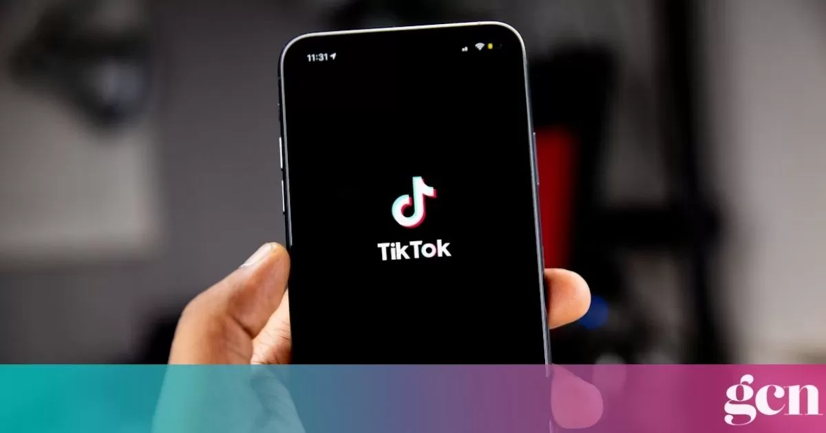 TikTok users in the US raised concerns over the app's new privacy policy and language regarding the collection of sensitive information.