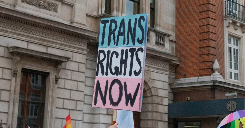 A protest poster reads 'Trans Rights Now' - This article covers how gender-affirming care benifits the economy