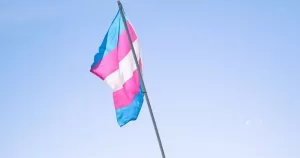 Image shows a trans flag waving across a blue sky. This image is being used to represent a campaign where cis allies are encouraged to send letters to the trans community.