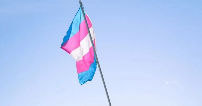Image shows a trans flag waving across a blue sky. This image is being used to represent a campaign where cis allies are encouraged to send letters to the trans community.