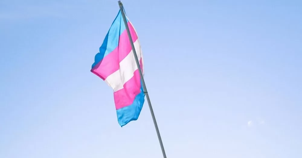 Image shows a trans flag waving across a blue sky. This image is being used to represent a campaign where cis allies are encouraged to send letters to the trans community.