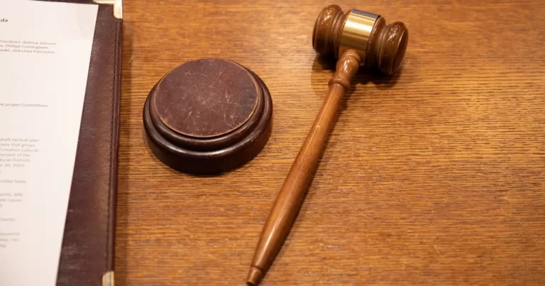This article is about two women challenging a refusal to grant an Irish passport to their child. In the photo, a gavel on a wooden desk.