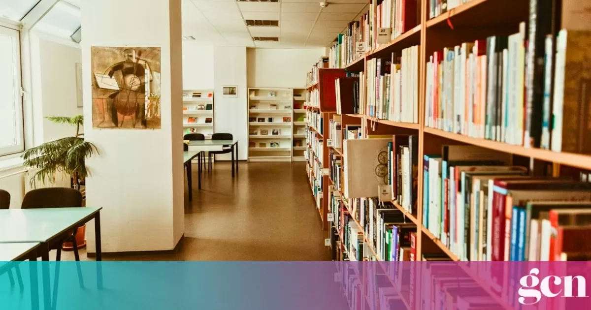 LGBTQ+ titles among US libraries' most challenged books of 2025