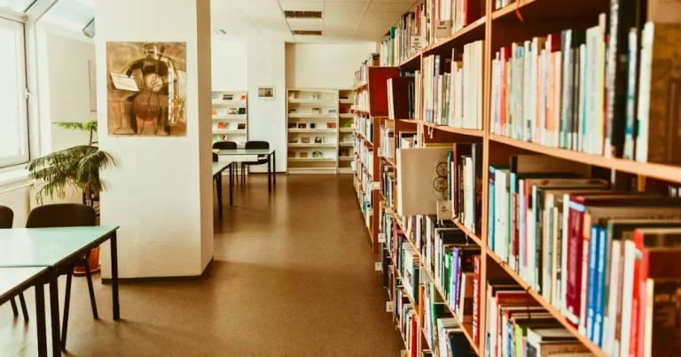 This article is about the most challenged books of 2025. In the photo, the interior of a library with shelves of book on the right and desks on the left.