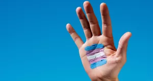 A hand with a painted trans pride flag, this article is about a US survey
