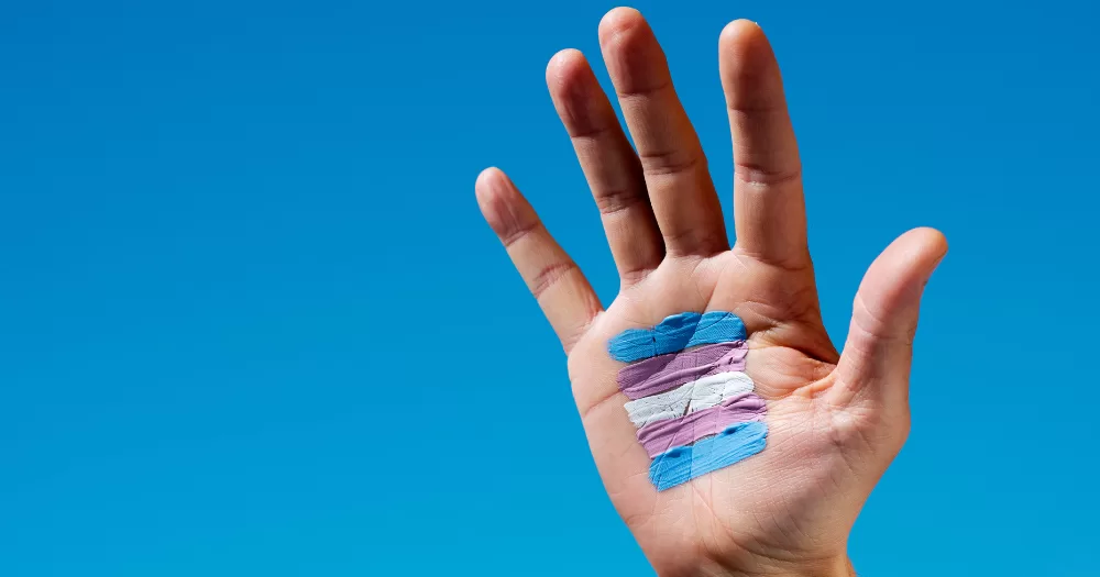 A hand with a painted trans pride flag, this article is about a US survey