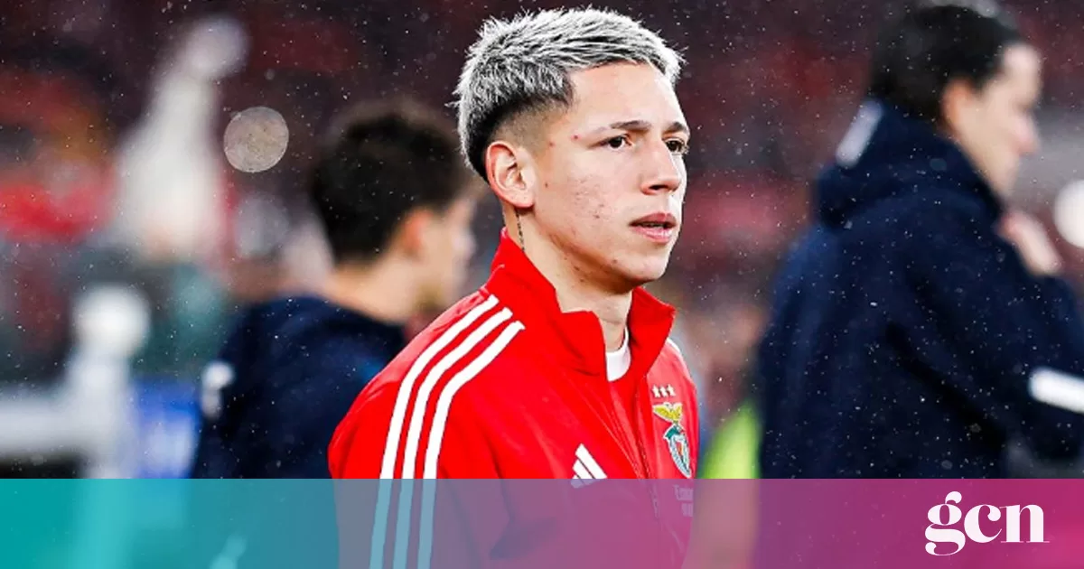 Benfica footballer Gianluca Prestianni suspended for using homophobic language