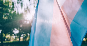 Trans flag - community groups in Northern Ireland warn of UK guidelines