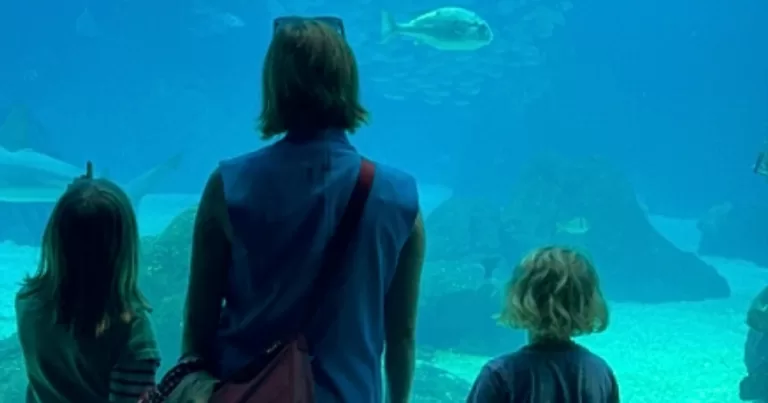 Photo from a queer family-friendly holiday in Portugal portraying a woman holding two kids by their hands in an aquarium.