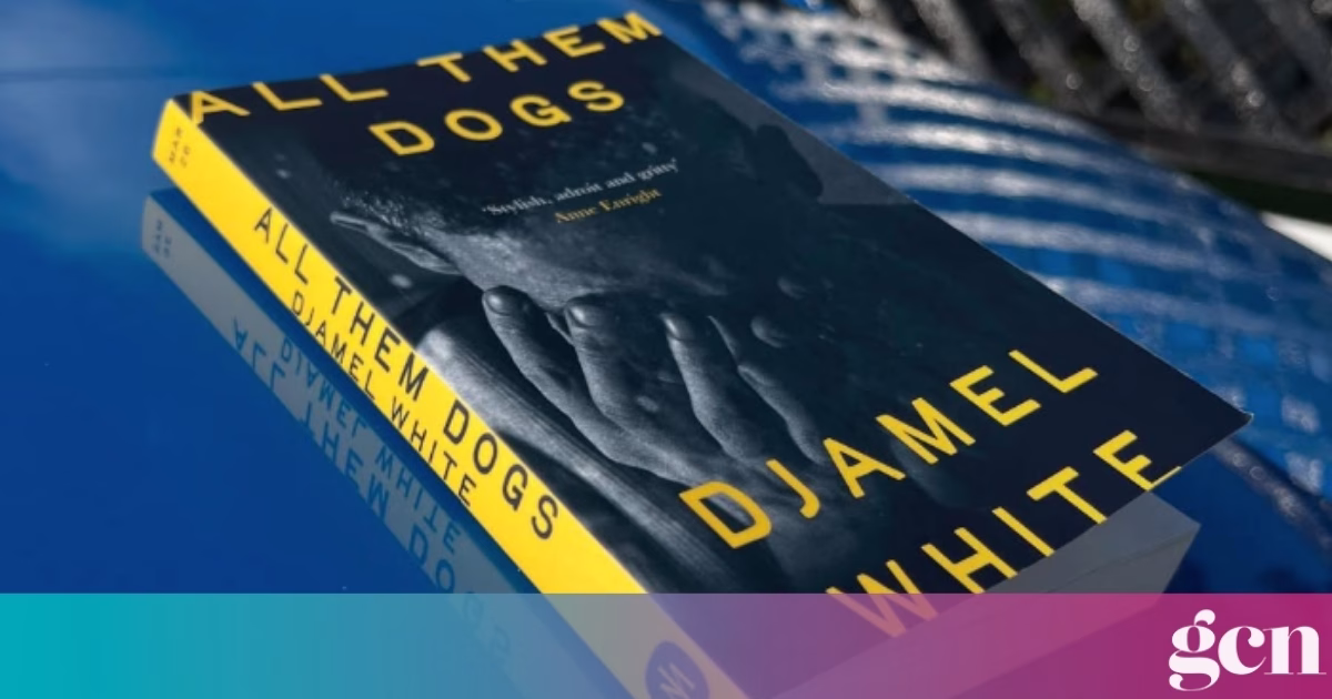 Irish queer novel longlisted for prestigious Booker Prize 2026