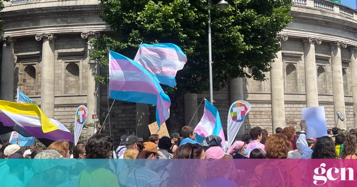 HSE's head of gender healthcare to step down after drafting new model of care