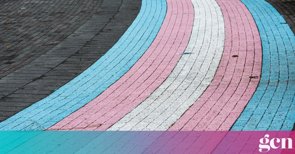 Largest-ever survey of trans people in the EU provides insight to drive meaningful change