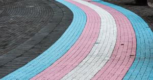 This article is about the largest-ever survey of trans people in the EU. The image shows the blue, pink and white trans flag painted on the pavement.