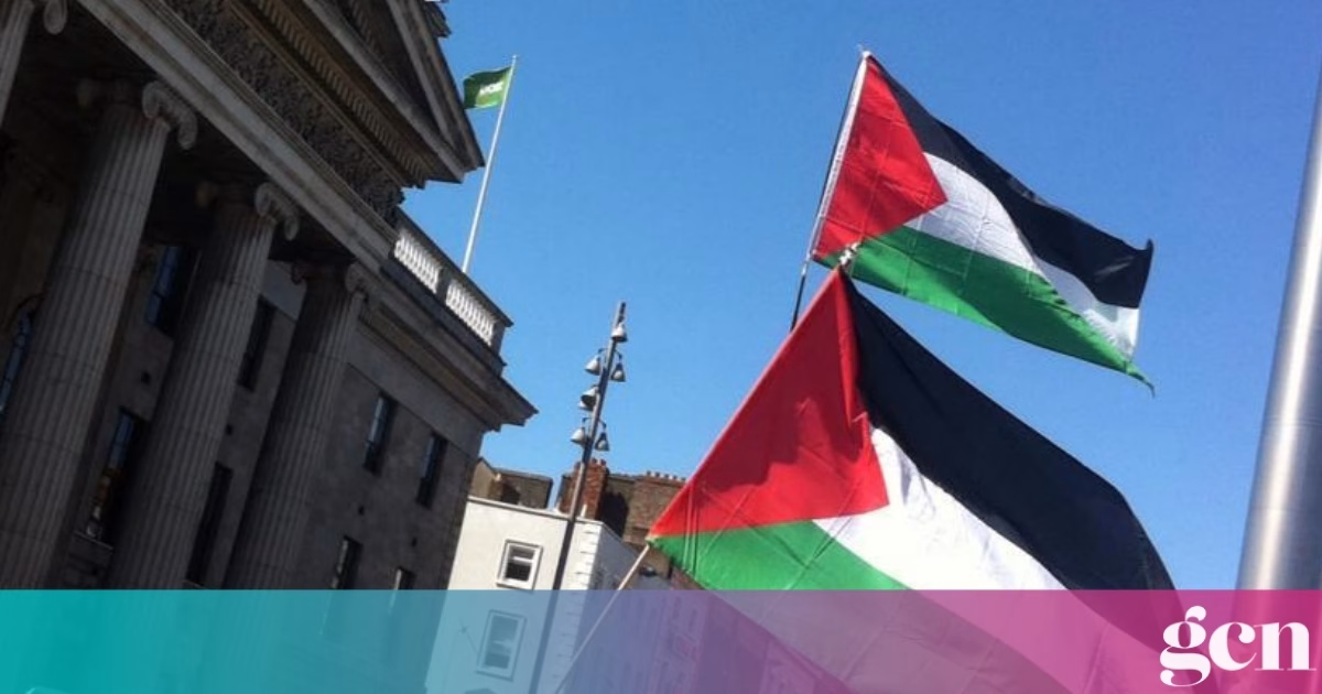 Palestinian students face Irish visa refusals despite university offers and scholarships