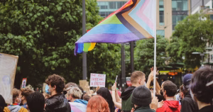 The article discusses Trans Pride Northern Ireland 2026 programme. The image shows a crowd rallying, one person holding a Pride flag