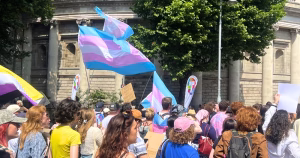 This article is about trans groups withdrawing from a working group for a new model of gender healthcare in Ireland. In the photo, people marching in Dublin while carrying trans flags.