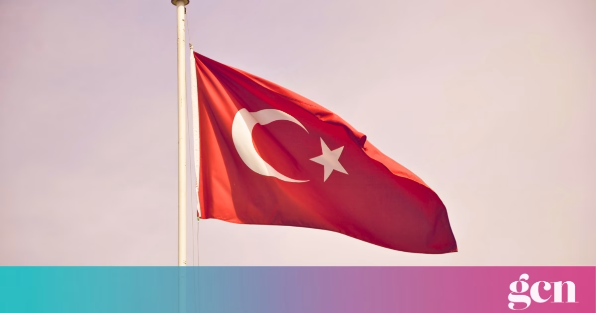 Alleged beatings and inhumane conditions in Turkish detention facilities, Council of Europe finds